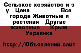 Сельское хозяйство и з/у › Цена ­ 2 500 000 - Все города Животные и растения » Другие животные   . Крым,Украинка